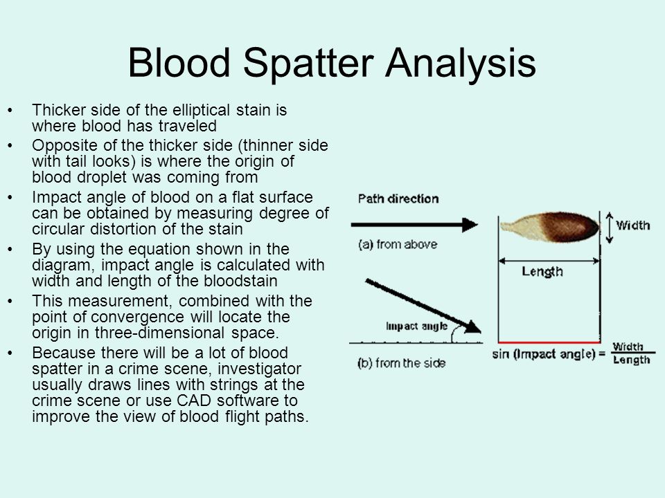 7 Things You Didn’t Know About Blood Spatter Analysis